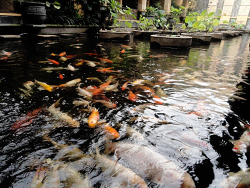 Lotus Garden Hotel Kediri  Ngoại thất bức ảnh
